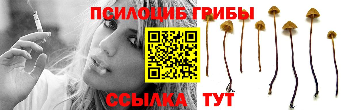 Галлюциногенные грибы прущие грибы  хочу наркоту  Вход с VPN  Котлас  Псилоцибиновые грибы Cubensis 